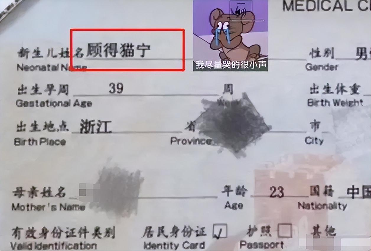 宝宝起名字姓顾什么好听（姓顾的女生名字超拽霸气两字）