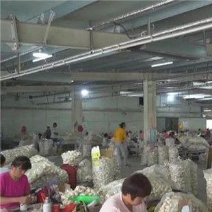 菏泽市成武在建屠宰企业的长尾关键词有哪些