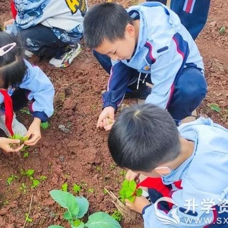 厦门市乐享教育怎么样