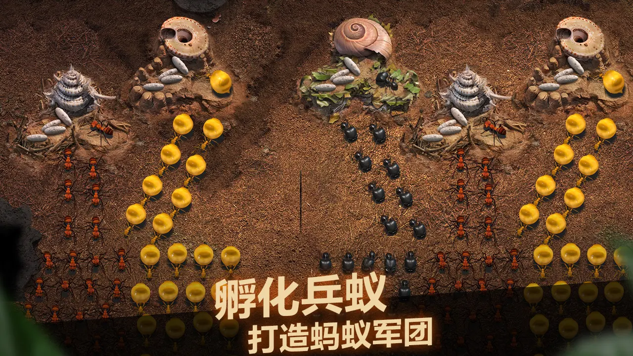 自驾去海南怎么安全出海 东莞自驾游出海攻略