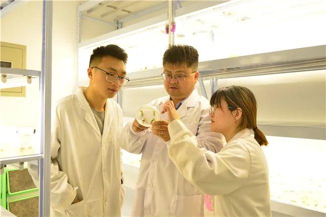 大豆科学管理科学与工程期刊豆腐脑能在家里自己做吗