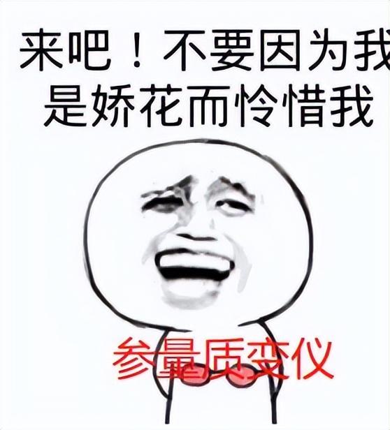 原神岚姐的委托怎么完成（原神质量参变仪现在还可以获取吗）