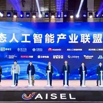 武汉市世纪宏图怎么样