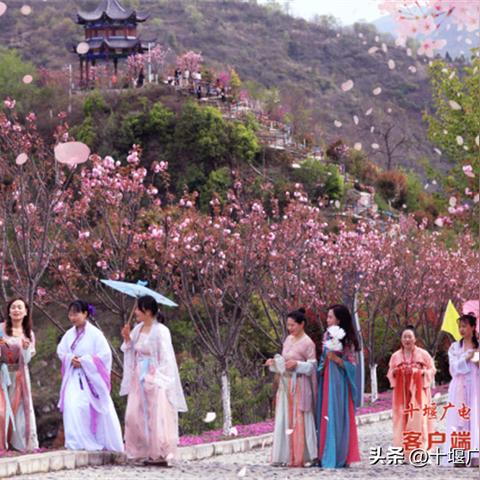 长春市樱花岛在什么位置的长尾关键词有什么