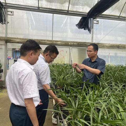 广州市农商银行是指什么