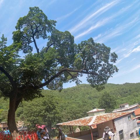 济南是山东省的吗？