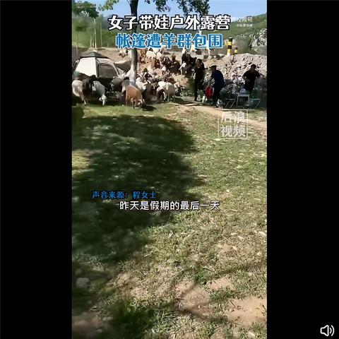 济南看星星露营的地方？