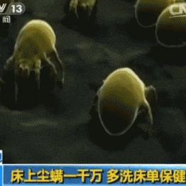 西安市打工被褥怎么办