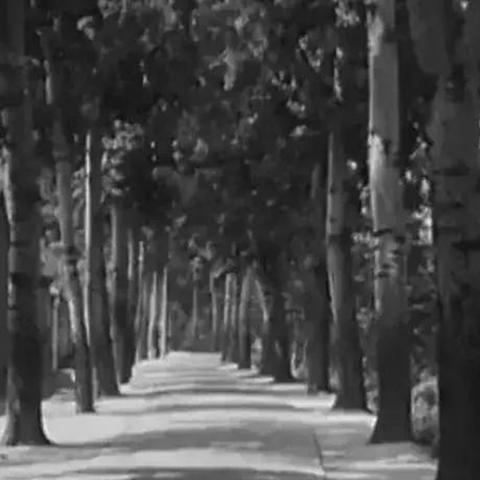 保定市八中片区的新小区都有哪些