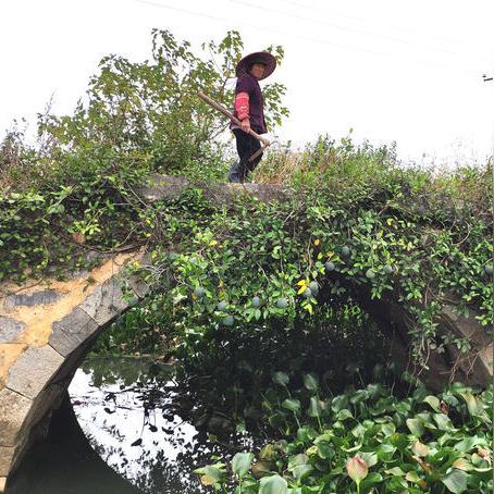 桂林的江描写相关长尾关键词有哪些