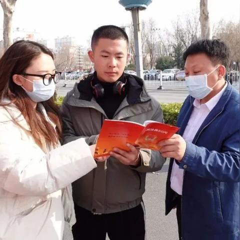 保定市一共多少个县区