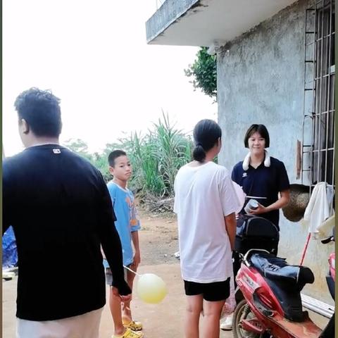 南方楼顶种什么耐热果树好？