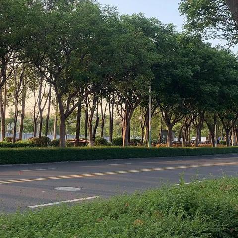 福建泉州还没解封吗的相关长尾关键词有哪些