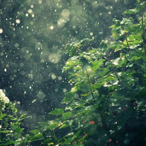 2025.11.13厦门最新天气预报查询