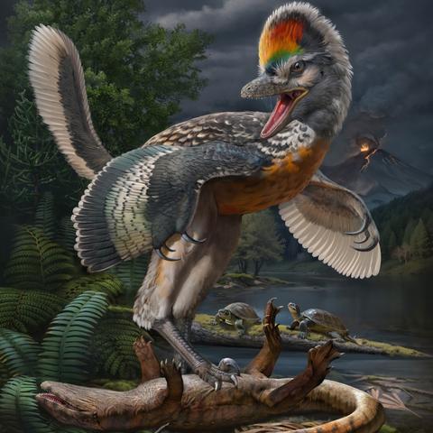 福建哪个地方有龙