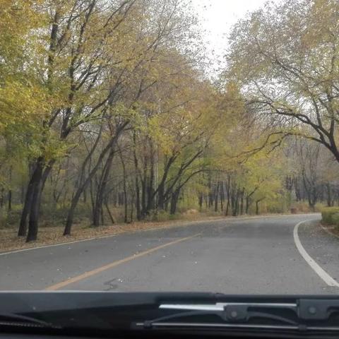 长春市净月潭公园门票多少钱