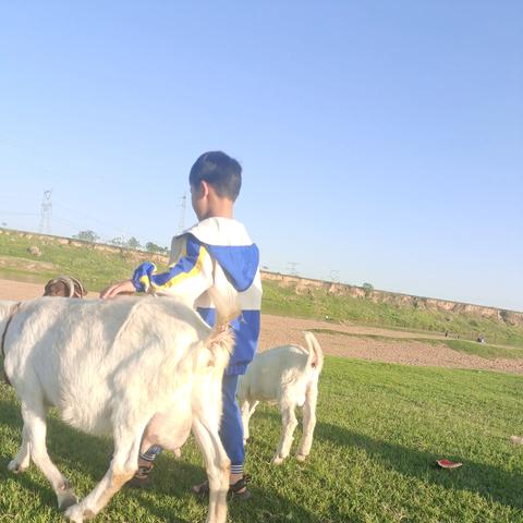 越南人河南的相关长尾关键词有哪些