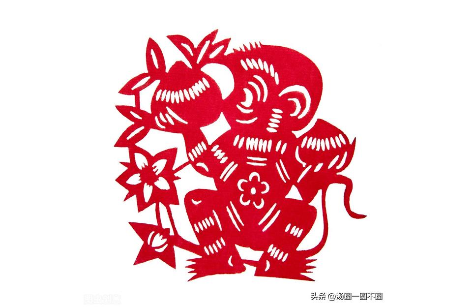 宝宝虎年怎么起名字好(属猴的最怕什么)