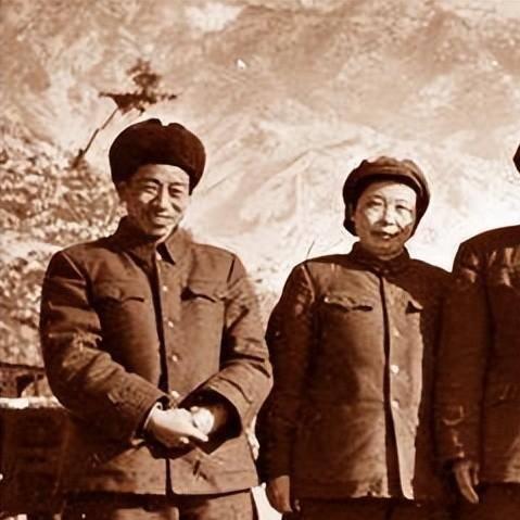 沈阳市买菜去哪个网站