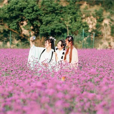 保定市安国市游玩的长尾关键词有哪些