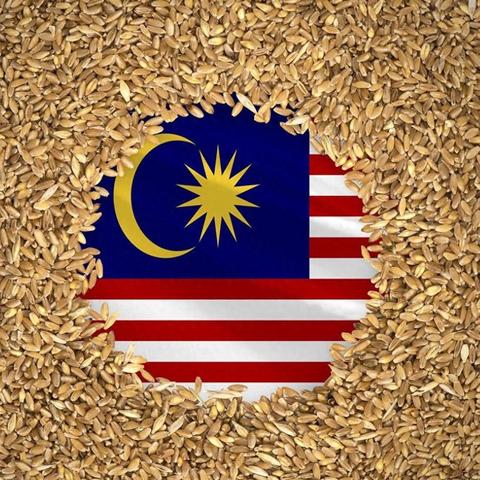 淘宝跨境运费为什么贵了