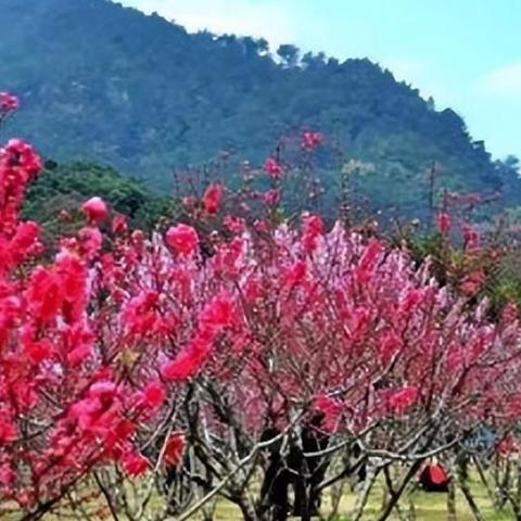 怎么知道自己八字属阴属阳_怎么知道自己八字是阴还是阳(怎样看八字属阴属阳)