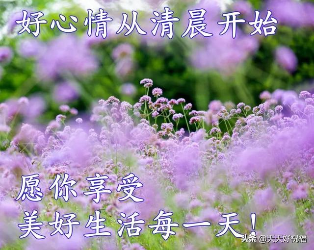 2019冬至早安问候语简短一句话