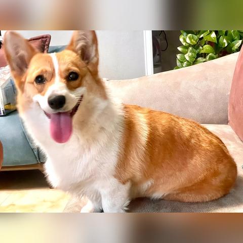 菏泽市手工打菜刀地址的长尾关键词有哪些