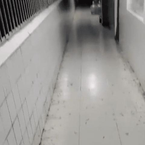 2025.11.12广州最新天气预报查询