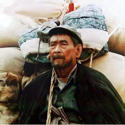 电影禁片有什么