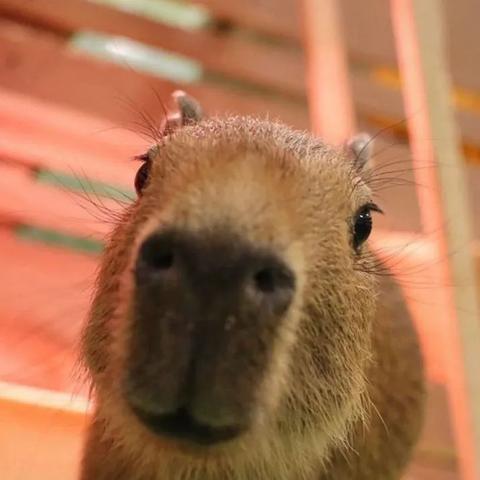 tiktok如何改为海外仓发货