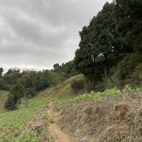 成都市哪里爬山