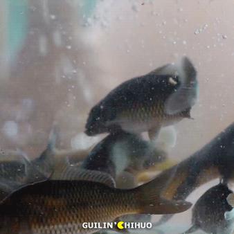 桂林空气污染来源相关长尾关键词有哪些