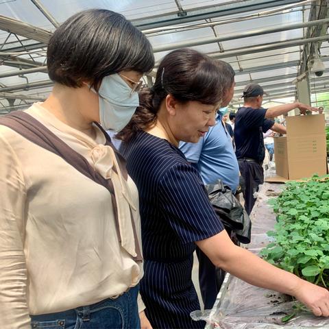 武汉市新洲有什么街道