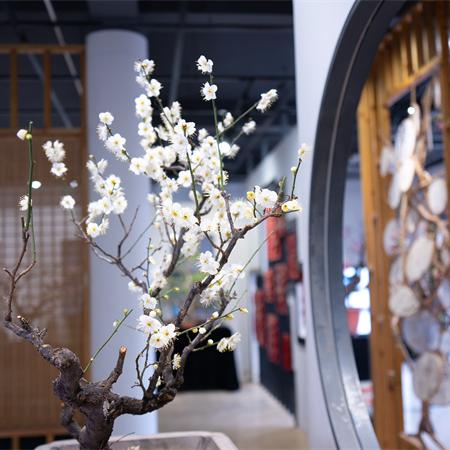 石家庄市龙腾小学在哪里