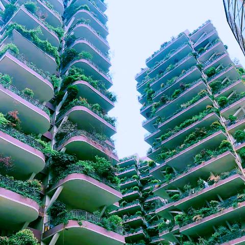 成都市花园3期房价走势的长尾关键词有什么