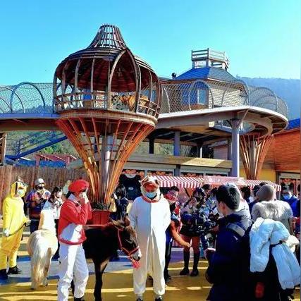 无锡市哪里动物园好