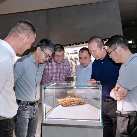 福建哪里有陨石的相关长尾关键词有哪些