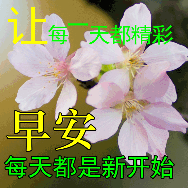 2020国庆节加班心情句子