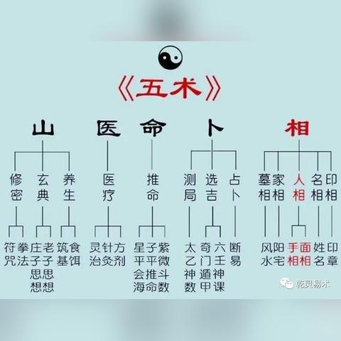 六爻和大六壬，新手先学哪个更轻松？