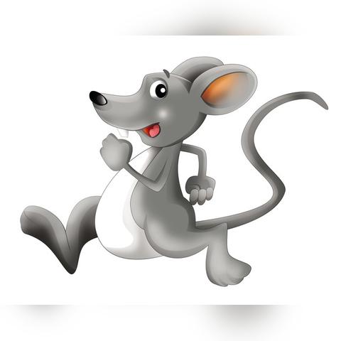 生肖猪的婚姻与爱情运势(十二生肖猪的爱情婚姻)