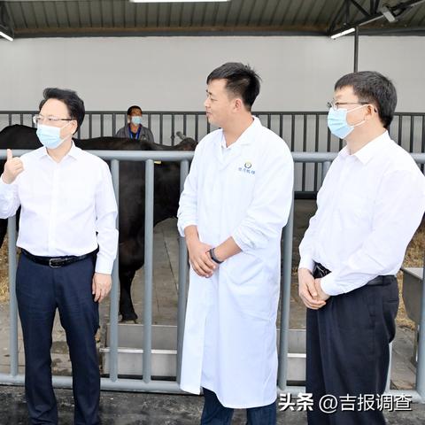 吉林长春市农业银行电话的长尾关键词有哪些