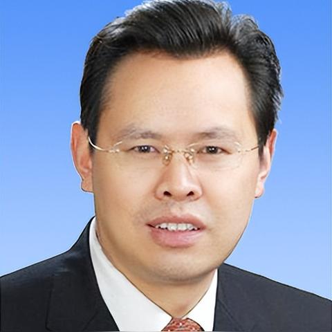 武汉市哪个领导被换了