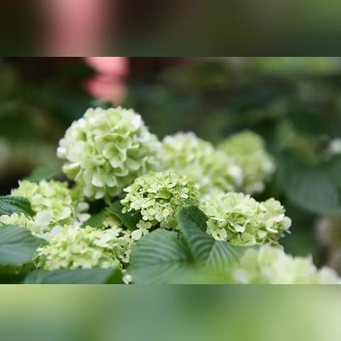 宁波市木妍美容院怎么样