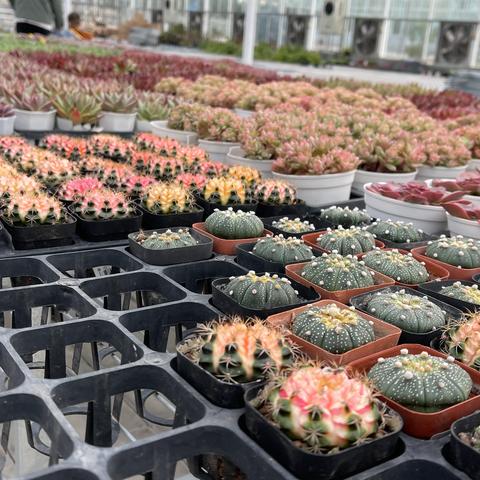 济南市朋友超市开业送什么