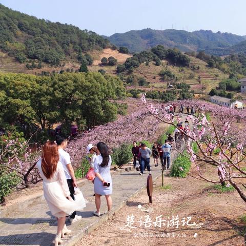 宁波市现在在开什么会