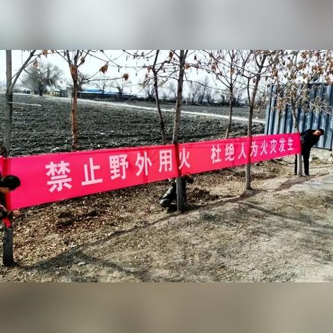 石河子的气候怎么样