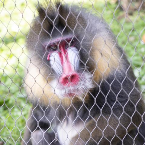 哈尔滨北方时代国际相关长尾关键词有哪些