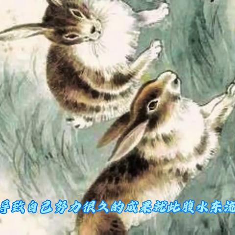 十二生肖属蛇者的运势(属蛇人的生肖运势)