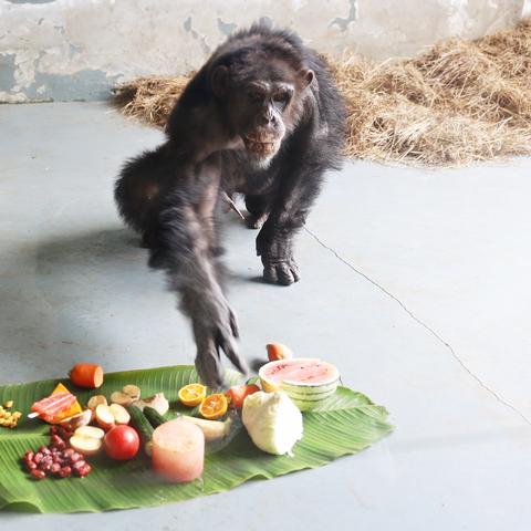 无锡动物园江苏无锡市的长尾关键词有哪些